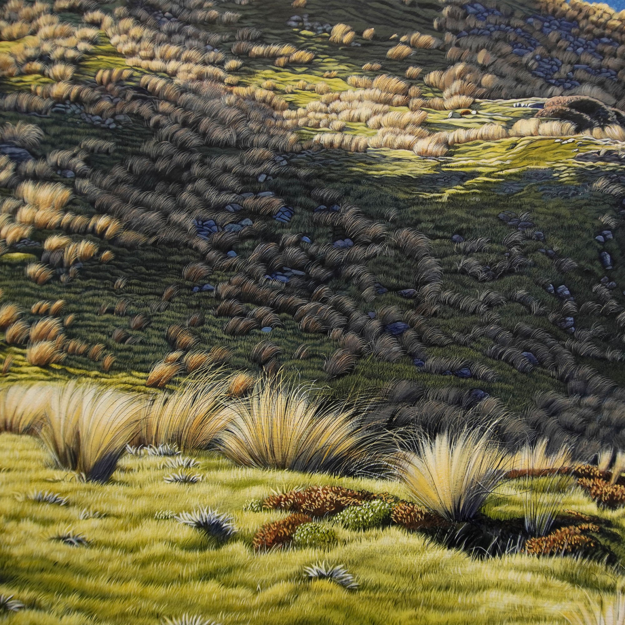 St Arnaud Tarn [Untitled]