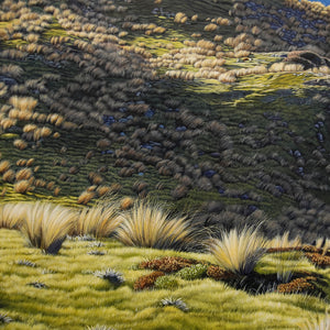 St Arnaud Tarn [Untitled]