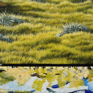 St Arnaud Tarn [Untitled]