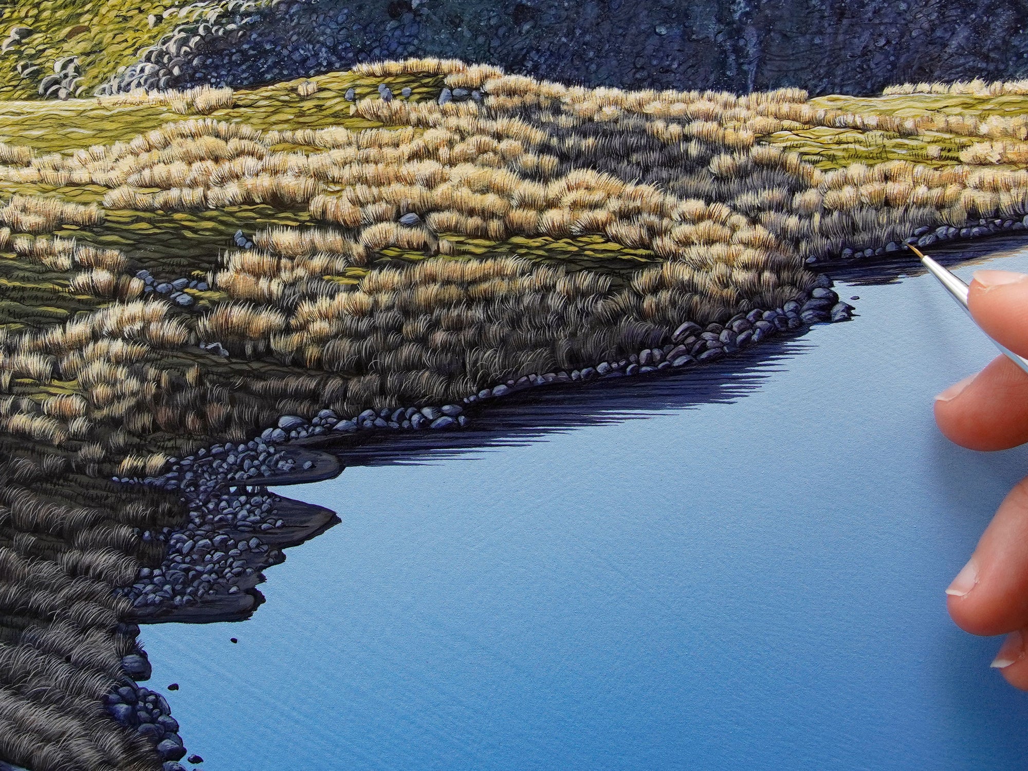St Arnaud Tarn [Untitled]