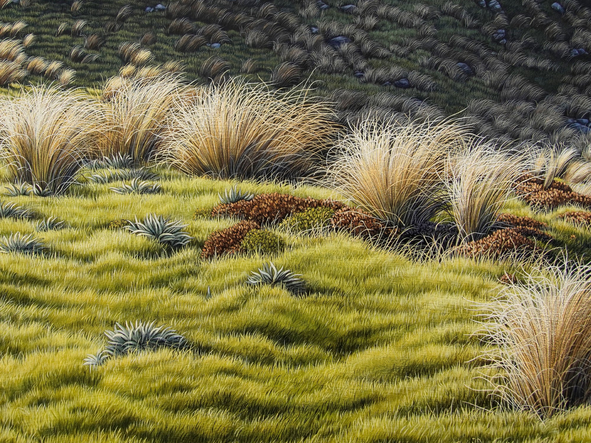 St Arnaud Tarn [Untitled]