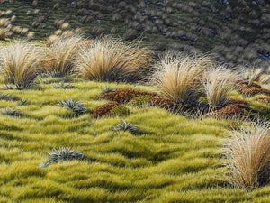St Arnaud Tarn [Untitled]