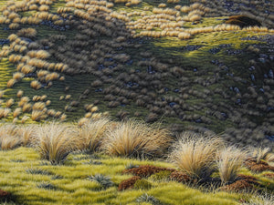 St Arnaud Tarn [Untitled]