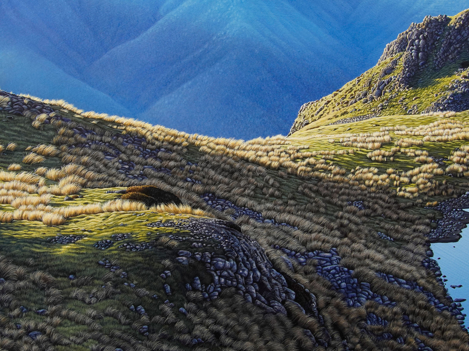 St Arnaud Tarn [Untitled]