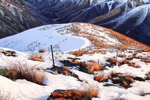 The Molesworth [Untitled]