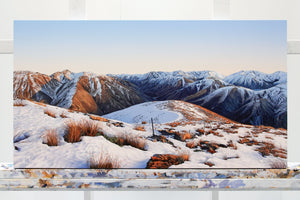 The Molesworth [Untitled]