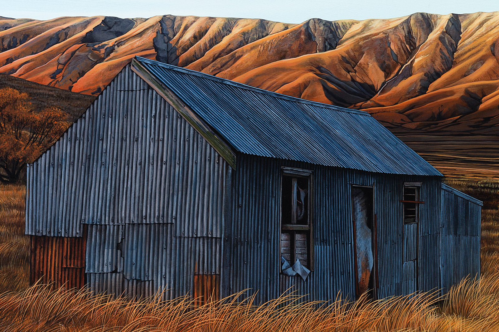 Farmstead Hawkdun Range