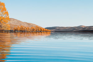 Fisherman Boatsheds