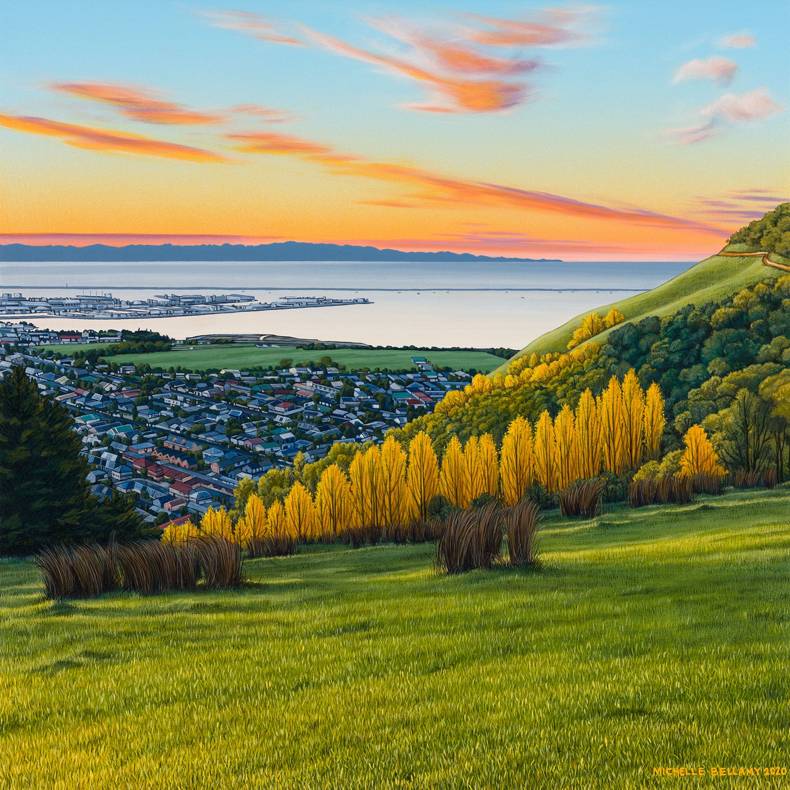 Overlooking the Port, Nelson City