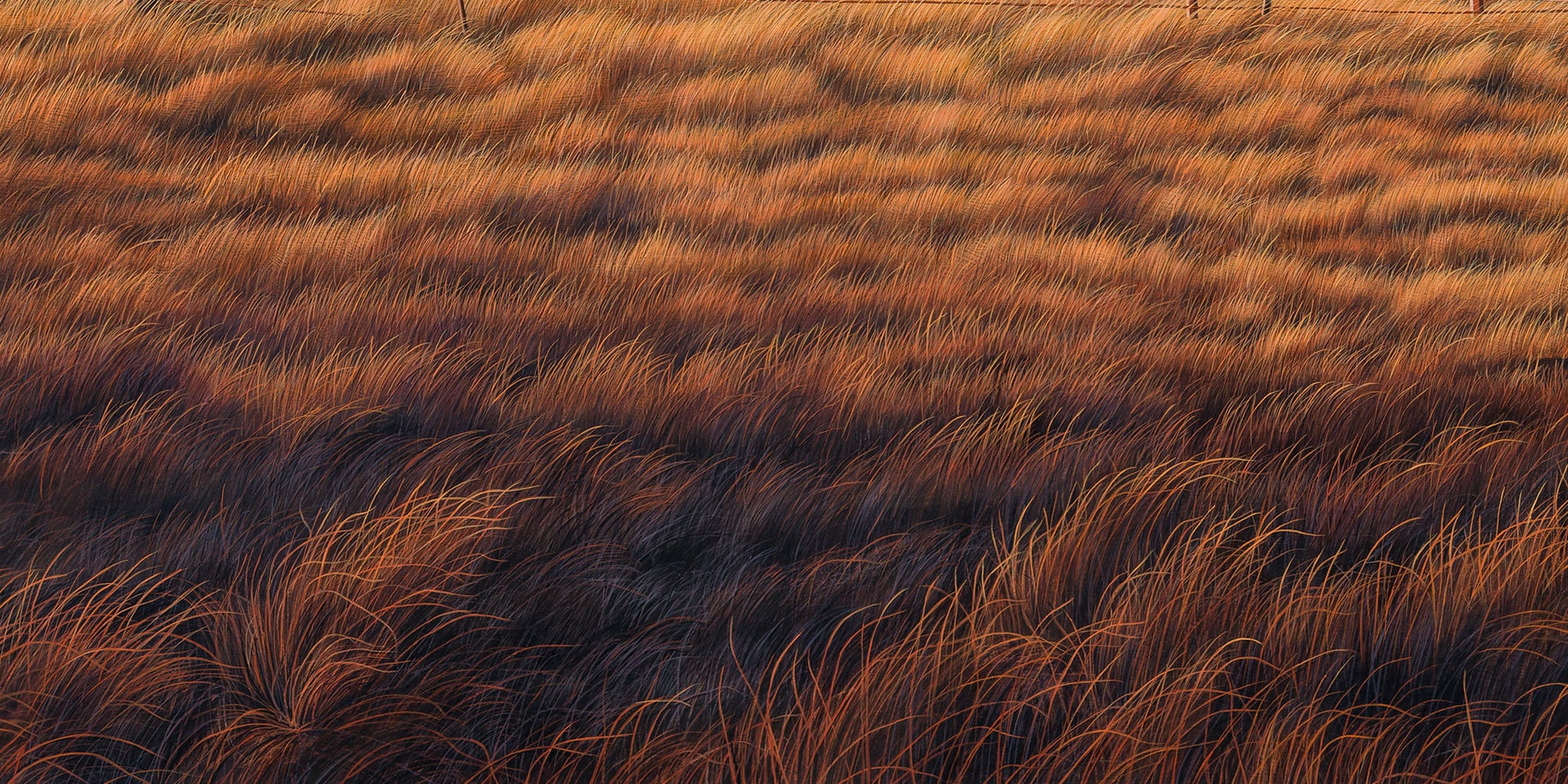 Silence at Sundown
