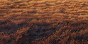 Silence at Sundown