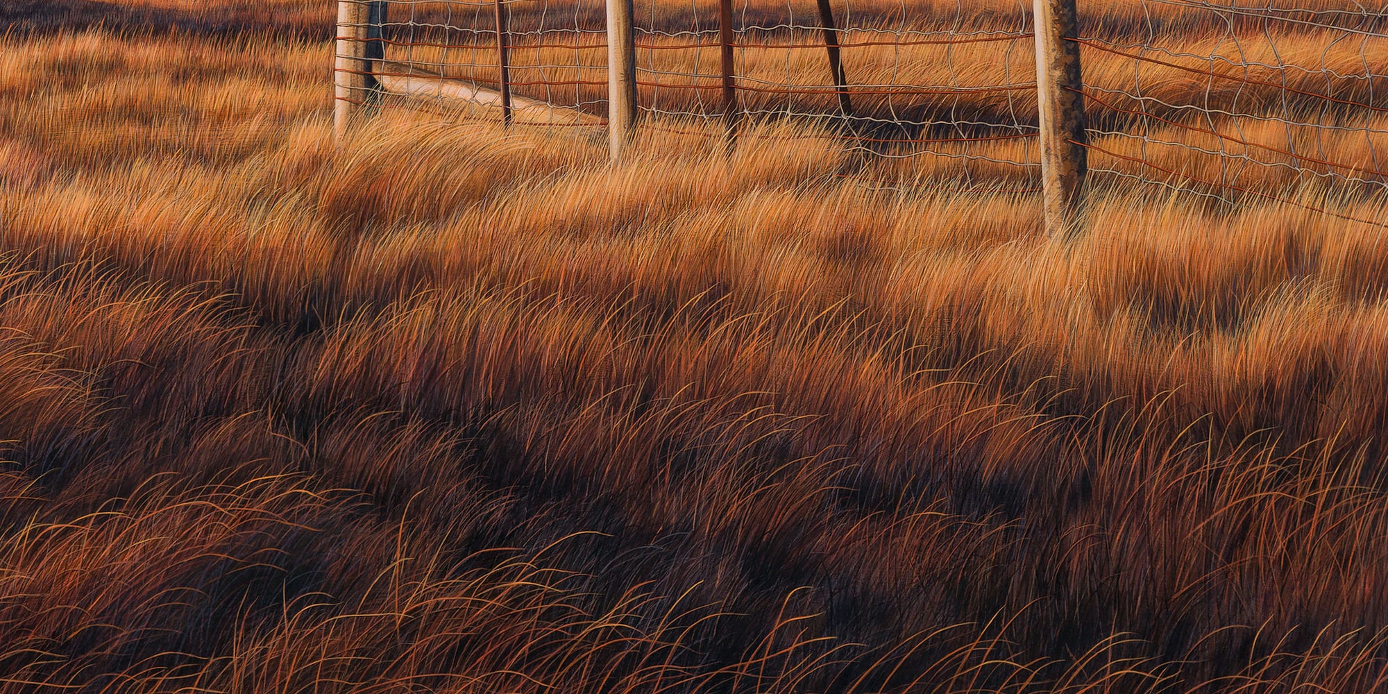 Silence at Sundown