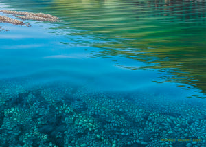 Travers River, Head of Lake Rotoiti